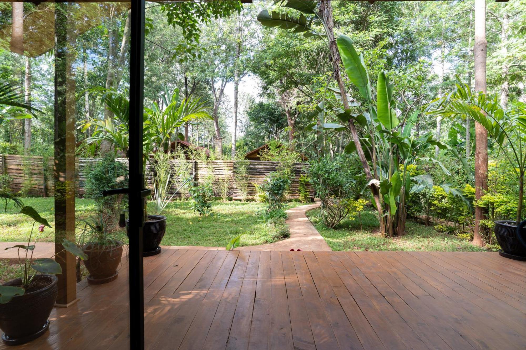 奈洛比The Jungle Oasis With Heated Pool公寓 外观 照片